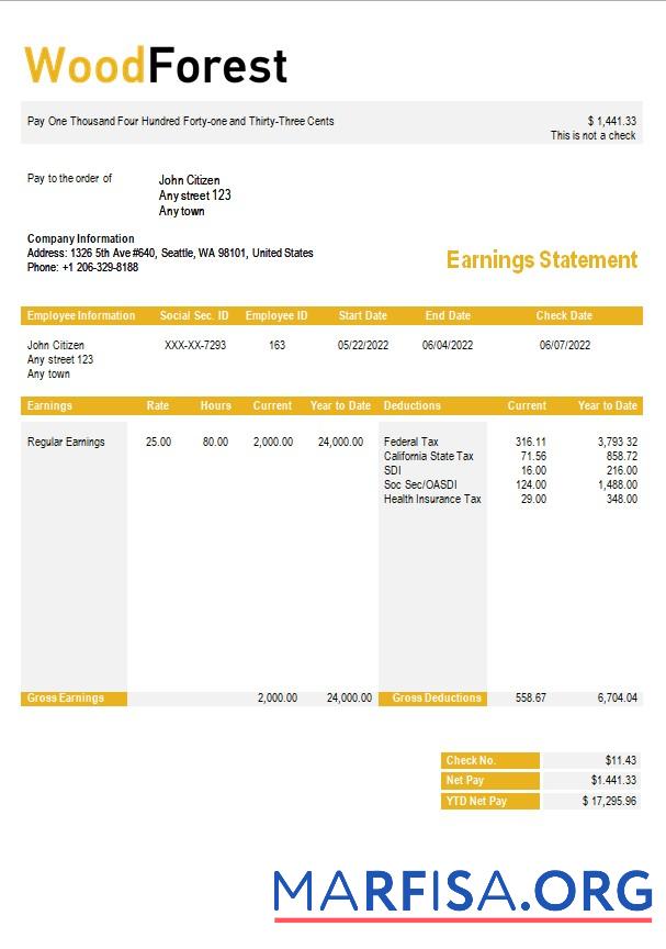 Realistic Wood corporation payslip template